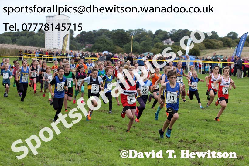Under-11s Sunderland Harriers Open Cross Country. Photo: David T. Hewitson/Sports for All Pics